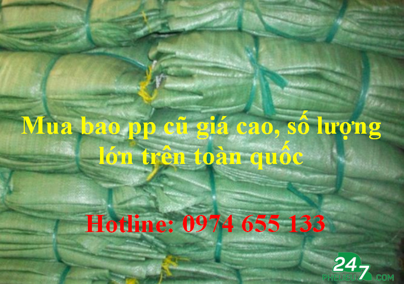 Mua bao pp cũ giá cao, số lượng lớn trên toàn quốc