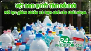 Việt Nam quyết tâm đổi mới - Nỗ lực giảm thiểu rác thải nhựa