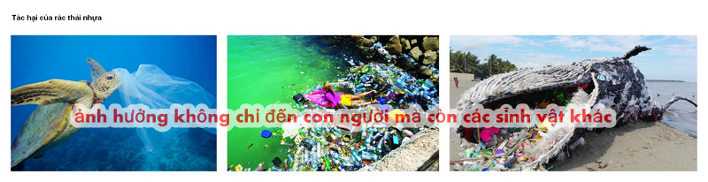 Tác hại của rác thải nhựa đến Trái Đất