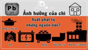 Ảnh hưởng của chì xuất phát từ những nguồn nào?