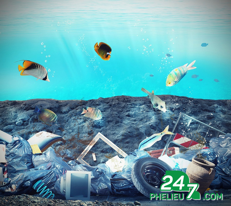 Các sinh vật biển đang ngày ngày phải chịu đựng nguy hiểm từ chất thải