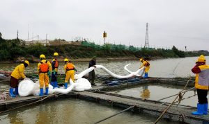 Doanh nghiệp kinh doanh dọn sạch dầu tràn