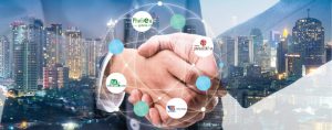Ai Có Thể Là Đối Tác Trong Kinh Doanh Thu Mua Sắt Phế Liệu Tại Phế Liệu 247?